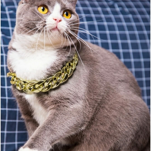 🎉HP🎉Cat Necklaces/ Collars - Picture 6 of 9